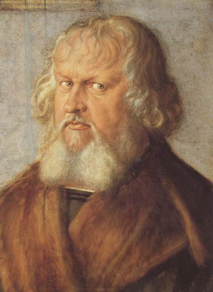 Albrecht Durer Hieronymus Holzschuher (mk45) France oil painting art